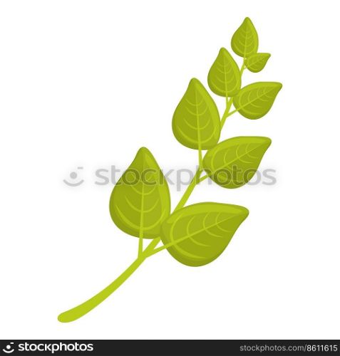 Oregano herb icon cartoon vector. Plant leaf. Dill parsley. Oregano herb icon cartoon vector. Plant leaf