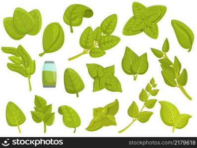 Oregano icons set cartoon vector. Aroma herb. Tea spices. Oregano icons set cartoon vector. Aroma herb