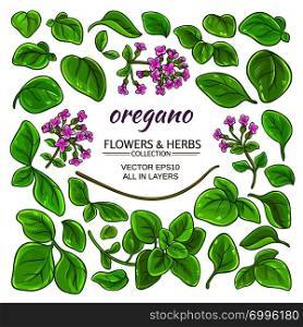 oregano plant elements set on white background. oregano elements set