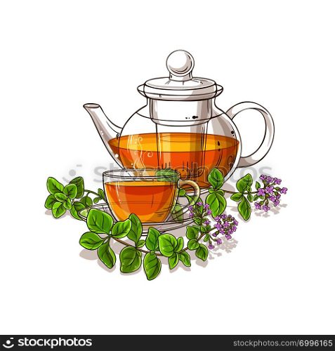 oregano tea in teapot illustration on white background. oregano tea illustration