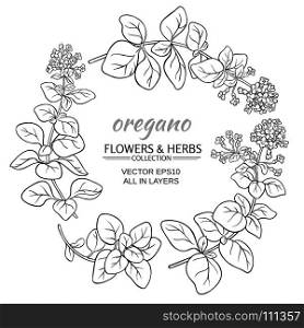 oregano vector set. oregano herb vector set on white background