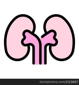 Organ kidney icon. Outline organ kidney vector icon color flat isolated. Organ kidney icon color outline vector