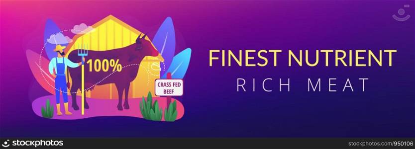 Organic agriculture industry. Eco farming, cattle breeding business. Grass fed beef, grass-finished beef, finest nutrient rich meat concept. Header or footer banner template with copy space.. Grass fed beef concept banner header.