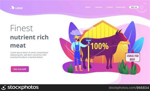 Organic agriculture industry. Eco farming, cattle breeding business. Grass fed beef, grass-finished beef, finest nutrient rich meat concept. Bright vibrant violet vector isolated illustration. Grass fed beef concept landing page.