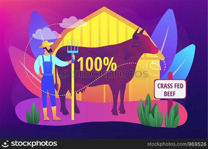Organic agriculture industry. Farming, cattle breeding business. Grass fed beef, 100 percent grass-finished beef, finest nutrient rich meat concept. Bright vibrant violet vector isolated illustration. Grass fed beef concept vector illustration.