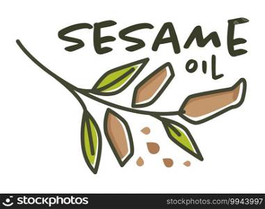 Organic and natural sesame oil, cold pressed product for food preparation and cooking. Fresh ingredient for making dishes and caring for body and hair. Labels or emblem, vector in flat style. Sesame oil, natural and organic ingredient label