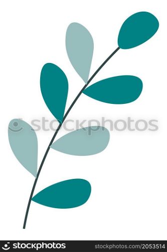 Organic and natural symbol, isolated evergreen branch with leaves and foliage. Lush greenery on twig, herbs and decor for holidays.Floral composition botany design. Vector in flat style illustration. Leaves on branch, twig with foliage natural decor