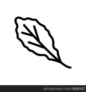 organic arugula leaf icon vector. organic arugula leaf sign. isolated contour symbol illustration. organic arugula leaf icon vector outline illustration