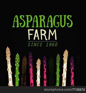Organic asparagus farm hand drawn vector illustration. White, green and purple asparagus sprouts on black background. Fresh and healthy vegetarian food concept. Natural seasonal food ingredient. Organic asparagus farm hand drawn