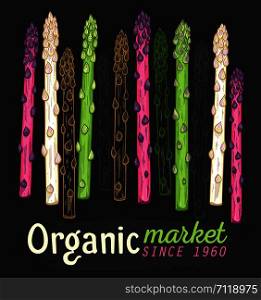 Organic asparagus market hand drawn vector illustration. White, green and purple asparagus sprouts on black background. Fresh and healthy vegetarian food concept. Natural food ingredient. Organic asparagus market hand drawn