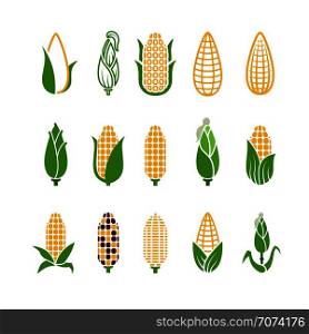 Organic corn vector icons isolated on white background. Corn and corncob vegetable organic illustration. Organic corn vector icons isolated on white background