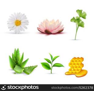 Organic Cosmetic Ingredients Set. Organic cosmetic ingredients set including lotus and chamomile aloe vera green tea and honey isolated vector illustration