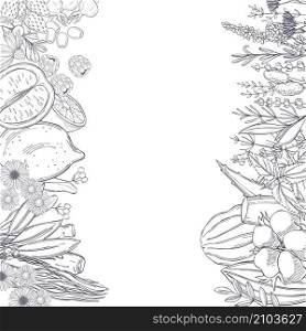 Organic cosmetics background. Plants for medicine and natural cosmetics. Vector sketch illustration.. Plants for natural cosmetics.