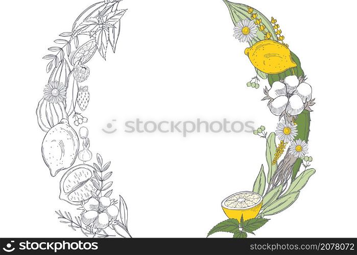 Organic cosmetics background. Plants for natural cosmetics. Vector sketch illustration.. Organic cosmetics background. Plants for natural cosmetics.