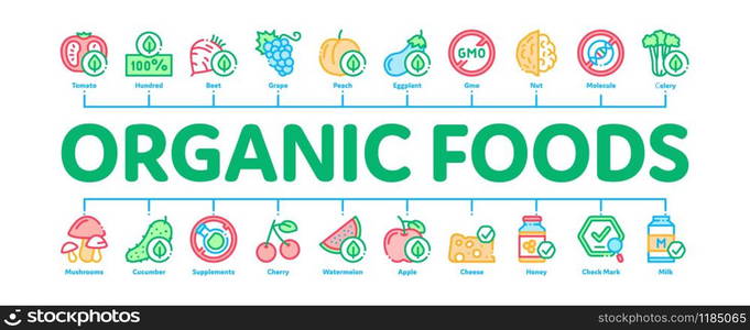 Organic Eco Foods Minimal Infographic Web Banner Vector. Organic Tomato And Mushrooms, Peach And Grape, Apple And Cherry Concept Illustrations. Organic Eco Foods Minimal Infographic Banner Vector