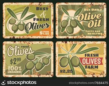 Organic farm olive oil rusty metal plate. Vector bunch of ripe, green olives on tree branch with leaves. Olive farm healthy product, harvest grunge tin sign, oil price tag with rust texture frame. Organic farm olives, olive oil rusty metal plate