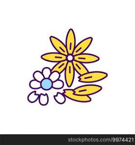 Organic flower gardening RGB color icon. Reusing leftover flowers, dried petals. Floral garden. Deadheading plants. Planting and maintenance. Removing blooms. Isolated vector illustration. Organic flower gardening RGB color icon