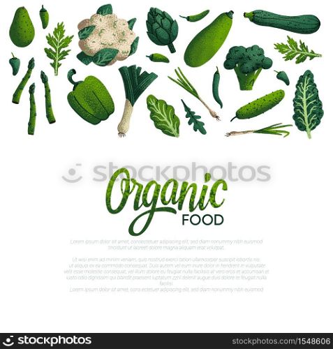 Organic food card design. Variety of decorative green vegetables with grain texture on white background. Farmers market, Organic food poster or banner design. Vector illustration. Organic food card design. Variety of decorative green vegetables with grain texture on white background. Farmers market, Organic food poster or banner design. Vector illustration.