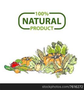 Organic food fresh vector, pumpkin and corn, sweet red pepper and foliage, onion banner. Logotype of eco organic ingredients drawing flat style veggie. 100 percent natural product. Natural Project 100 Percent Fresh Food Vector
