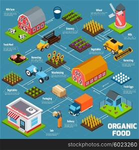 Organic food isometric flowchart. Organic food production process flowchart with products growing and delivery isometric icons vector illustration