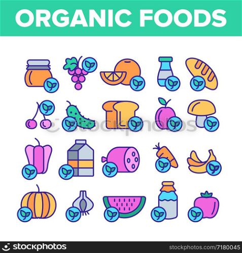 Organic Foods Vector Thin Line Icons Set. Organic Food, Fresh Fruits, Berries, Vegetables Linear Pictograms. Healthy Nutrition. Eco Dairy, Meat Products Organic Farming Produce Contour Illustrations. Organic Foods Vector Color Line Icons Set
