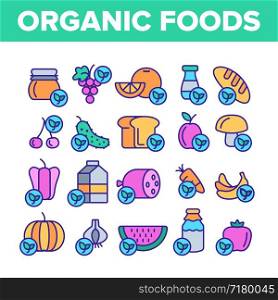 Organic Foods Vector Thin Line Icons Set. Organic Food, Fresh Fruits, Berries, Vegetables Linear Pictograms. Healthy Nutrition. Eco Dairy, Meat Products Organic Farming Produce Contour Illustrations. Organic Foods Vector Color Line Icons Set