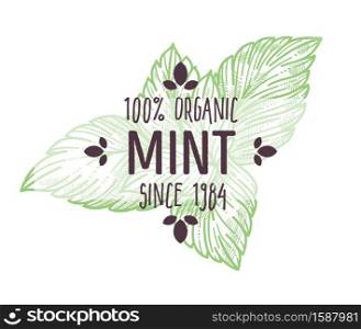 Organic herb market, mint or peppermint isolated icon with lettering vector. Fresh leaves or foliage, natural spices and plant, spearmint emblem or logo. Cooking or tea ingredient, medicine and botany. Mint or peppermint, organic herbs market isolated icon with lettering