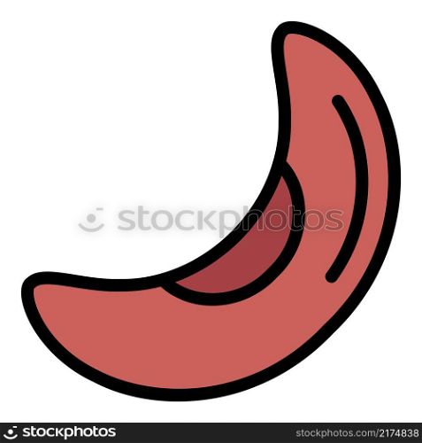 Organic kidney bean icon. Outline organic kidney bean vector icon color flat isolated. Organic kidney bean icon color outline vector