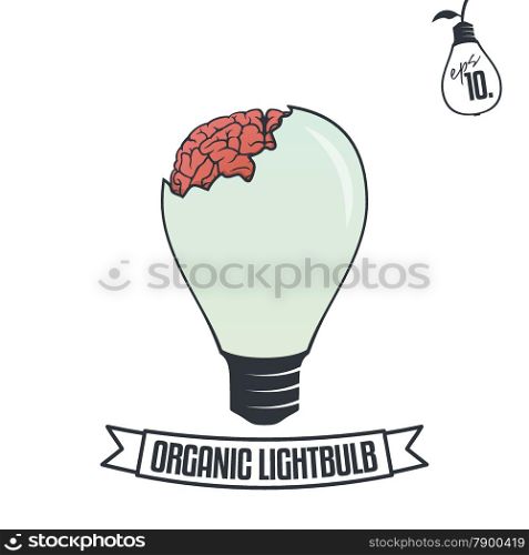 Organic Lightbulb with Brain Illustration