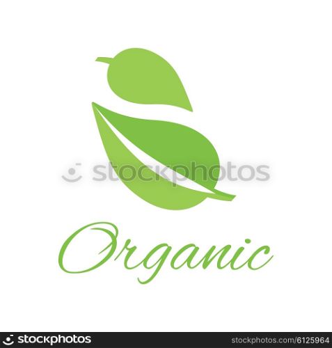 Organic logo green leaf design flat. Organic and logo, nature logo, leaf logo, organic label, nature green logo, eco organic leaf, natural leaf plant, organic bio, health organic label illustration