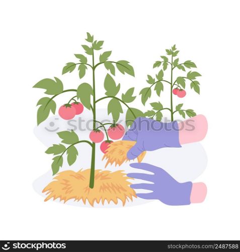 Organic mulching isolated cartoon vector illustrations. Farmer using organic mulching, protect soil, weed management, modern agriculture, using fertilizer, natural decomposition vector cartoon.. Organic mulching isolated cartoon vector illustrations.