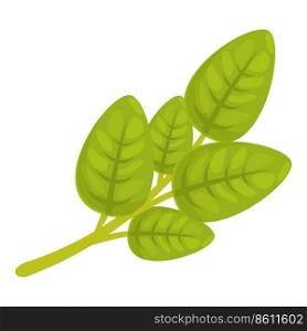 Organic oregano icon cartoon vector. Leaf herb. Garden spice. Organic oregano icon cartoon vector. Leaf herb