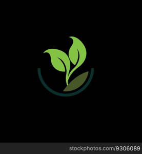 organic plants for health on black background,go green