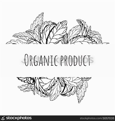 Organic product. Card with sketch of plants and grass. Vector template for labels. Mint, stevia and basil. Outline medicine herbal drawing. Useful traditional medicine. Vector element for your design. Organic product. Card with sketch of plants and grass. Vector template for labels. Mint, stevia and basil. Outline medicine herbal drawing. Useful traditional medicine.