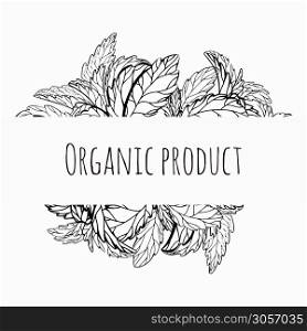 Organic product. Card with sketch of plants and grass. Vector template for labels. Mint, stevia and basil. Outline medicine herbal drawing. Useful traditional medicine. Vector element for your design. Organic product. Card with sketch of plants and grass. Vector template for labels. Mint, stevia and basil. Outline medicine herbal drawing. Useful traditional medicine.