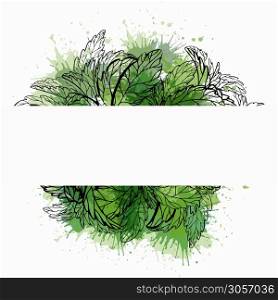 Organic product. Card with sketch of plants and green watercolor splash. Vector template for labels. Mint, stevia and basil. Vector outline medicine herbal drawing. Useful traditional medicine.. Organic product. Card with sketch of plants and green watercolor splash. Vector template for labels. Mint, stevia and basil. Vector outline medicine herbal drawing.