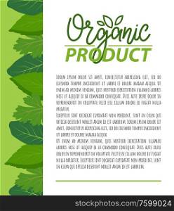 Organic product, natural nutrition food simple label on poster with text sample. Vector greenery, leaves or herbs, web page template with frame of greenery. Organic Product Natural Nutrition Food on Poster
