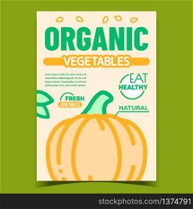 Organic Vegetable Bright Advertising Banner Vector. Fresh And Natural Pumpkin Vegetable, Seeds And Green Leaves On Promo Poster. Healthy Eat Concept Template Stylish Colorful Illustration. Organic Vegetable Bright Advertising Banner Vector