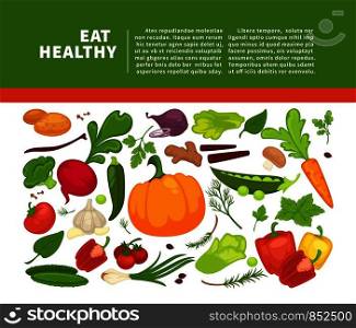 Organic vegetables food poster background template for dietary vegetarian eating or vegan diet. Vector vegetable and farm veggies radish, tomato and pepper or lettuce salad and cauliflower cabbage. Organic vegetables food poster background template for dietary vegetarian eating or vegan diet.
