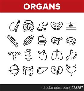 Organs Anatomical Collection Icons Set Vector Thin Line. Stomach And Uterus, Spleen And Lungs, Heart And Kidneys, Human Organs Concept Linear Pictograms. Monochrome Contour Illustrations. Organs Anatomical Collection Icons Set Vector