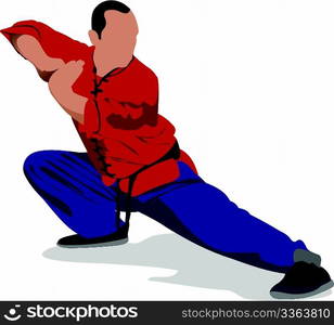 Oriental combat sports. The sportsman in a position. Wushu. Kung