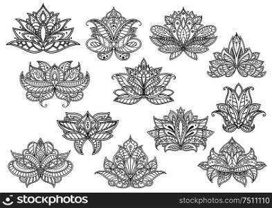 Oriental outline paisley flowers with ethnic persian, indian and turkish openwork motifs. Floral elements for textile, interior accessories or carpet pattern design. Paisley flowers with persian and turkish ornament
