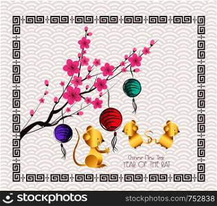 Oriental Paper Lantern, plum blossom. Year of the rat