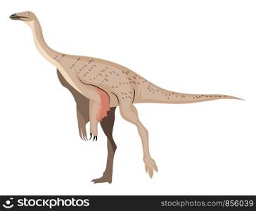 Ornithomimus, illustration, vector on white background.