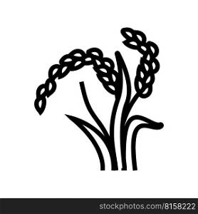 oryza plant food line icon vector. oryza plant food sign. isolated contour symbol black illustration. oryza plant food line icon vector illustration