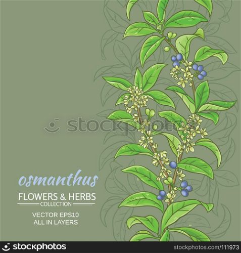 osmanthus vector background. osmanthus branches vector pattern on color background