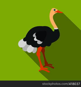 Ostrich icon. Flat illustration of ostrich vector icon for web. Ostrich icon, flat style