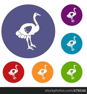 Ostrich icons set in flat circle red, blue and green color for web. Ostrich icons set
