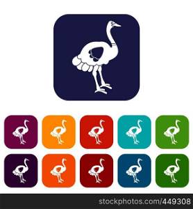 Ostrich icons set vector illustration in flat style In colors red, blue, green and other. Ostrich icons set flat