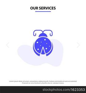 Our Services Beetle, Bug, Ladybird, Ladybug Solid Glyph Icon Web card Template